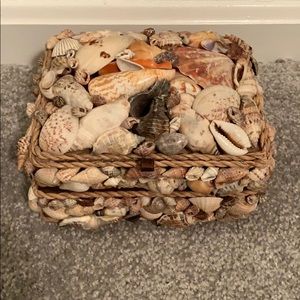 Shell Jewelry Box!